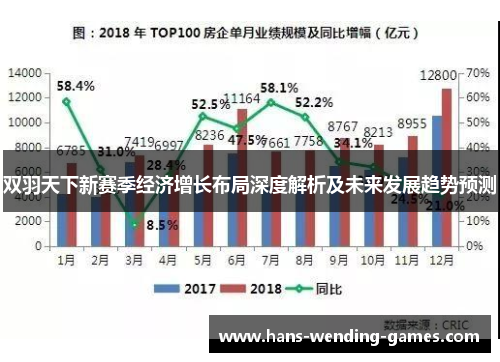 双羽天下新赛季经济增长布局深度解析及未来发展趋势预测