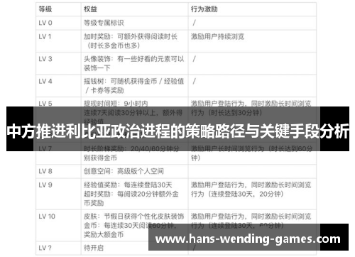 中方推进利比亚政治进程的策略路径与关键手段分析