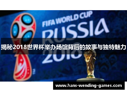揭秘2018世界杯举办场馆背后的故事与独特魅力