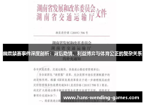 魏震禁赛事件深度剖析：背后隐情、利益博弈与体育公正的复杂关系