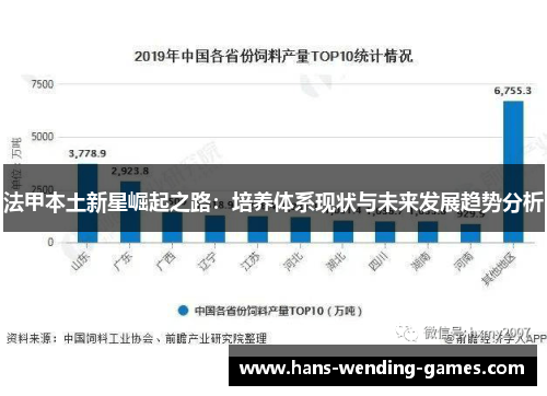 法甲本土新星崛起之路:培养体系现状与未来发展趋势分析 法甲本土新星崛起之路:培养体系现状与未来发展趋势分析