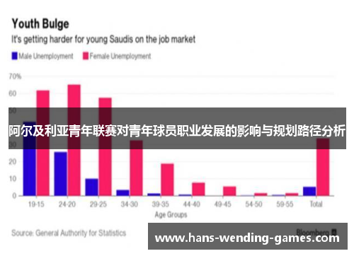 阿尔及利亚青年联赛对青年球员职业发展的影响与规划路径分析 阿尔及利亚青年联赛对青年球员职业发展的影响与规划路径分析